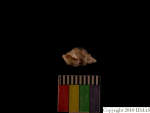 L_V22d5649 A15q1220.11.3 Tx06 dM sh f523